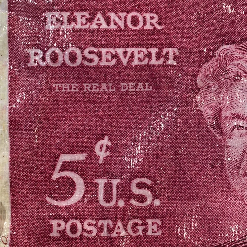 Elenor Roosevelt pencil case zip closure water resistant feminist icon